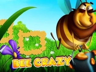 Bee Crazy HD screenshot